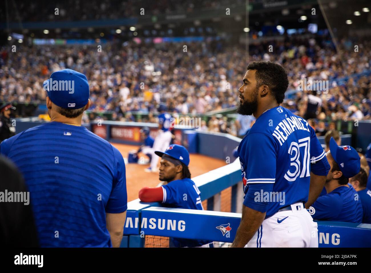Outfielder George Springer (L), Santiago Espinal (C) and Teoscar Hernández (R) watch from the dugout during a Toronto Blue Jays game at Rogers Centre Stock Photo