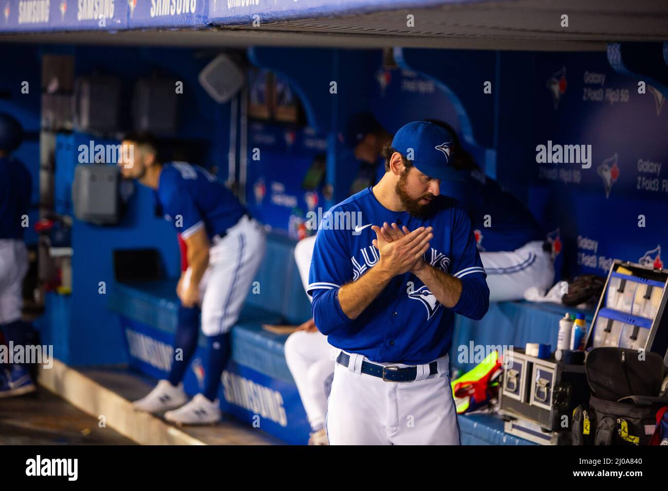 3,925 Randal Grichuk” Baseball Stock Photos, High-Res Pictures