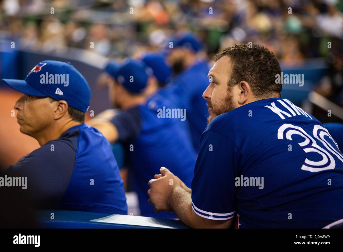 Toronto Blue Jays catcher Alejandro Kirk watches from the dugout at Rogers Centre Stock Photo