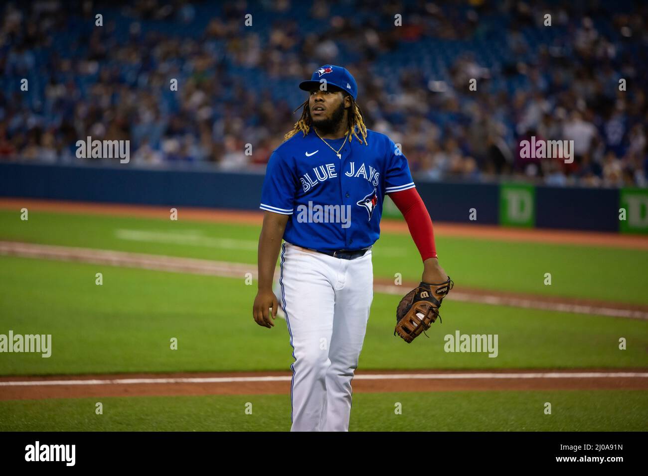 Toronto Blue Jays first baseman Vladimir Guerrero Jr. returns to the dugout after a defensive inning at Rogers Centre Stock Photo