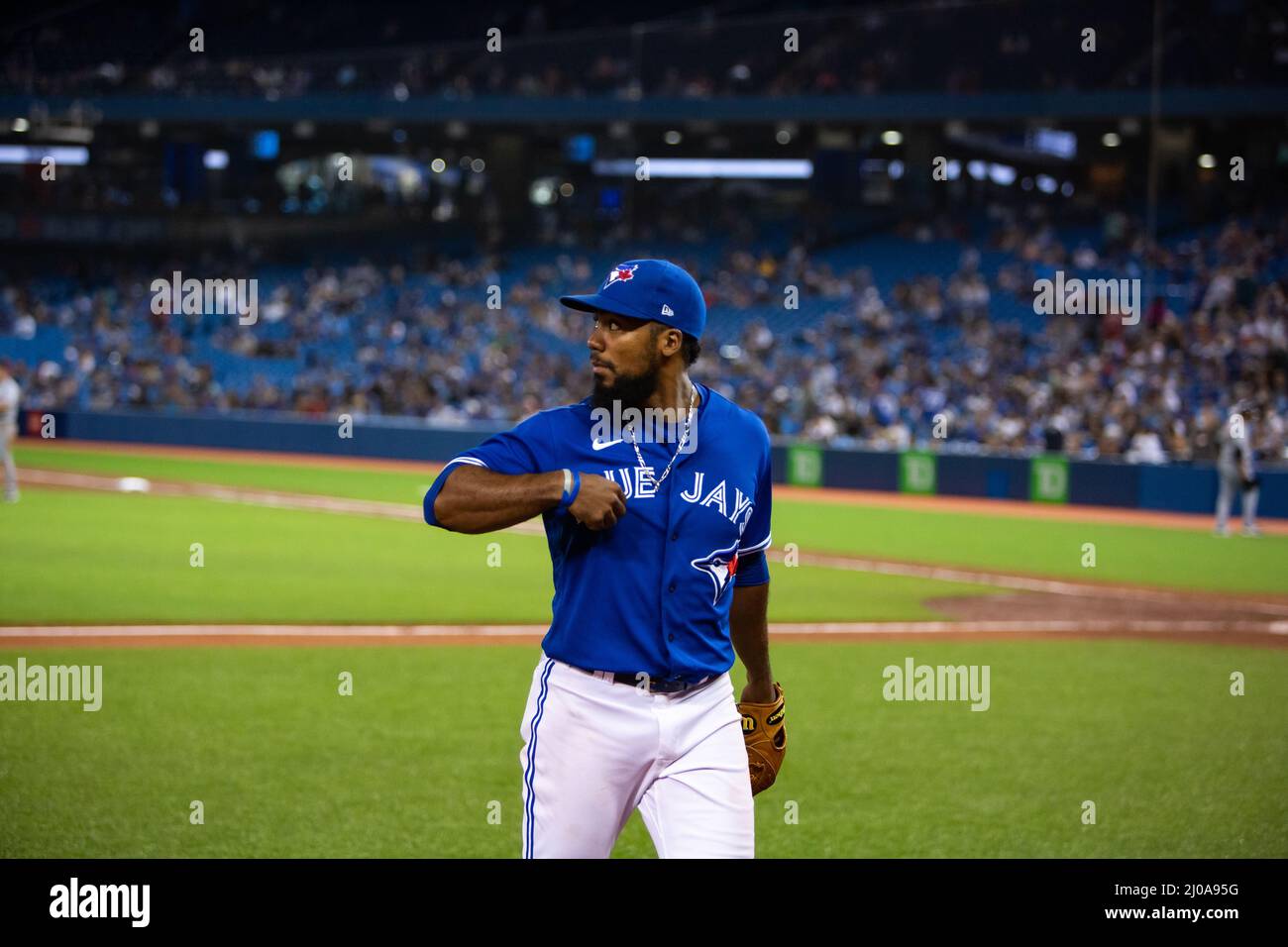 Toronto Blue Jays outfielder Teoscar Hernández. returns to the dugout after a defensive inning at Rogers Centre Stock Photo