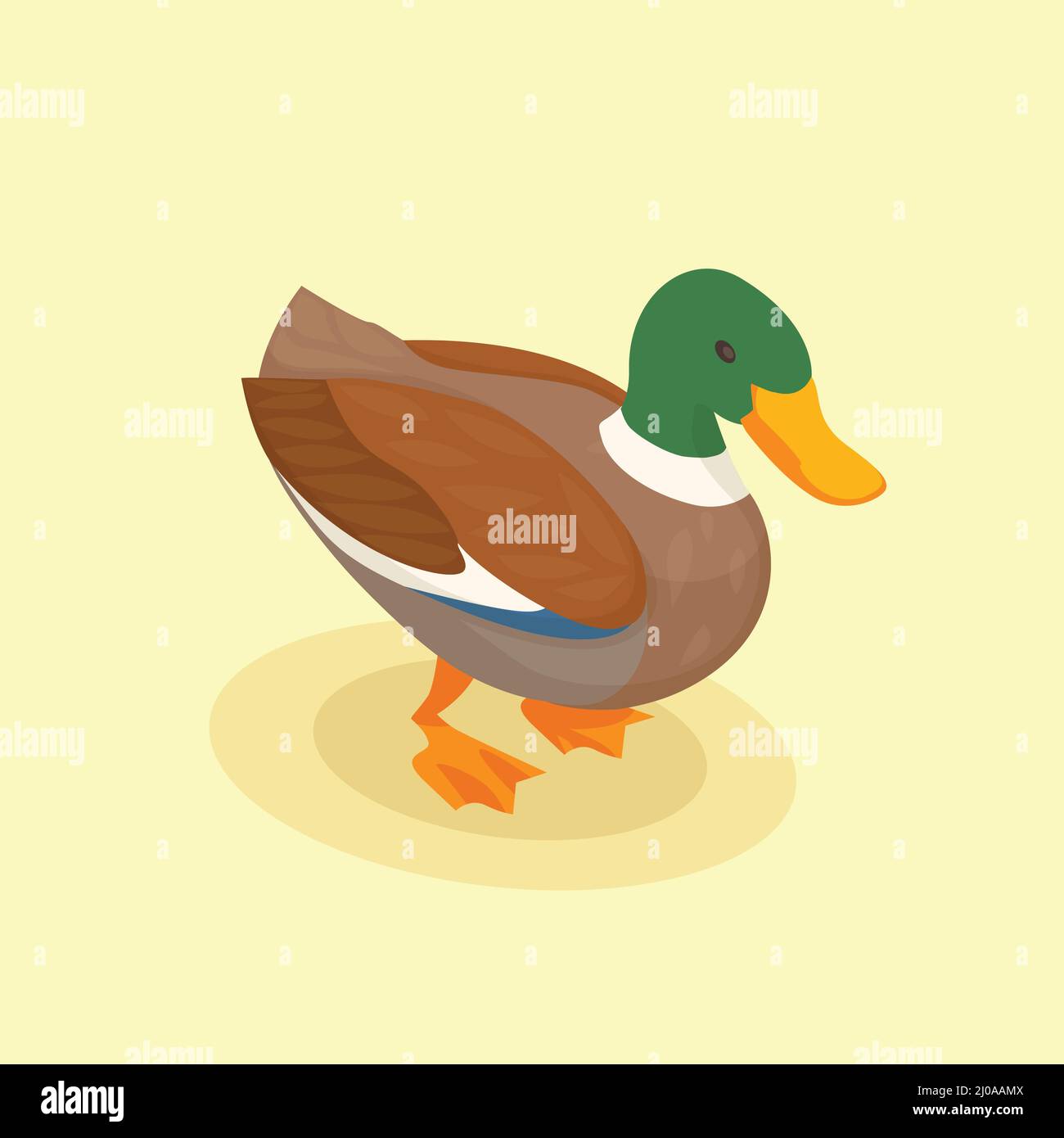 Poultry vector illustration with colored duck isometric icon in cartoon ...