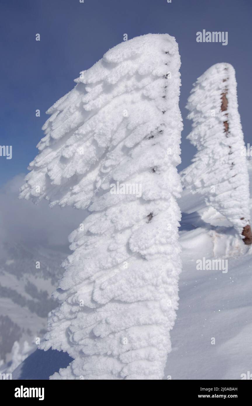 Fence post with snow Stock Photo - Alamy