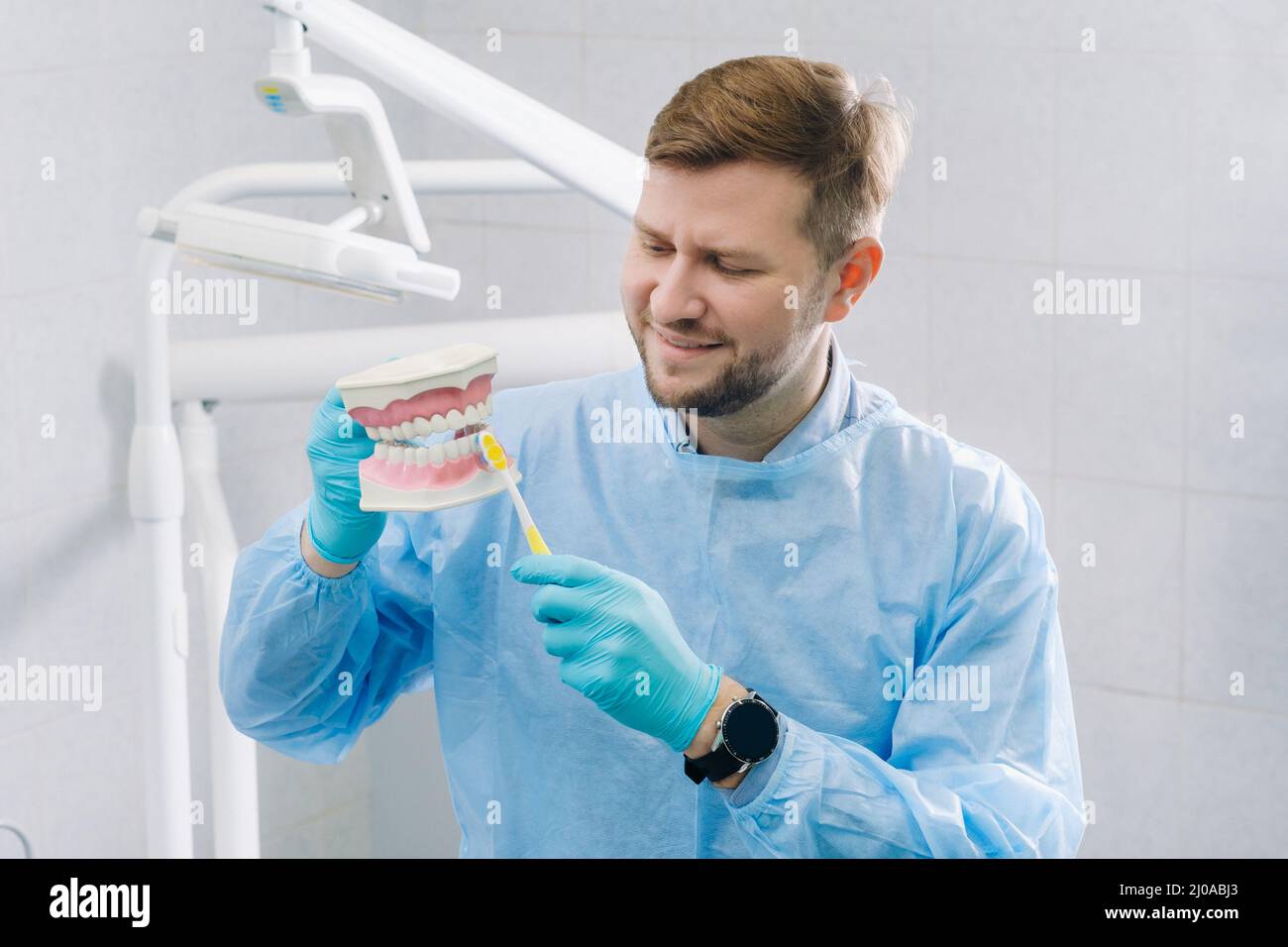 A model of a human jaw with teeth and a toothbrush in the dentist's ...