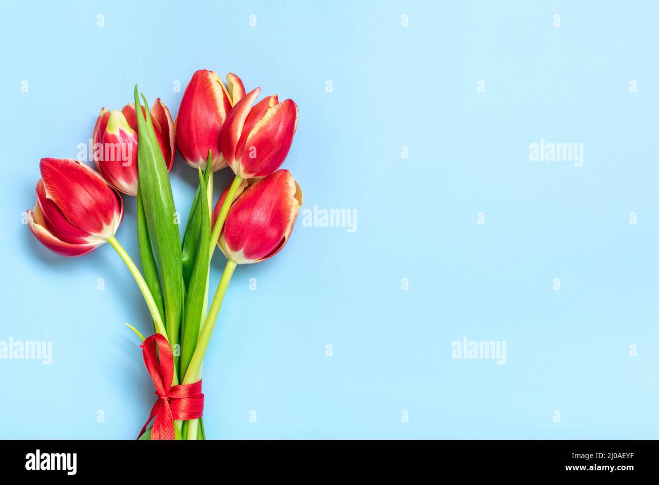 Painted Red Tulips in Vase with Calligraphy Greeting Card Tulip Thank You Greeting Card