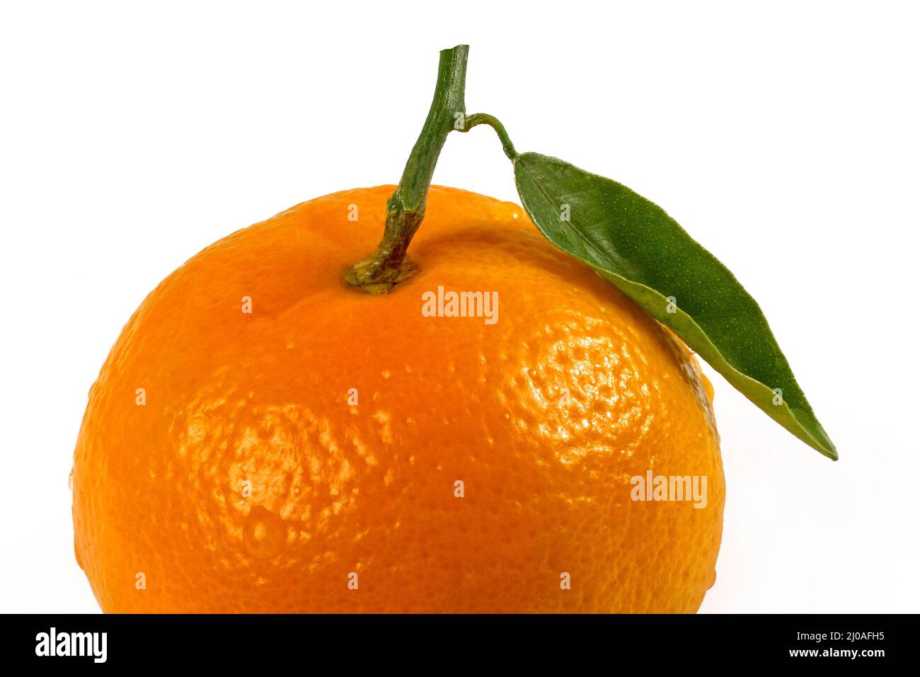 Mandarin alone hi-res stock photography and images - Alamy