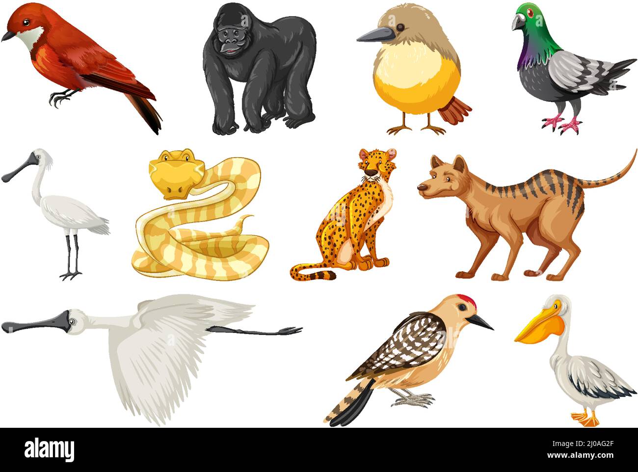 Different kinds of animals collection illustration Stock Vector Image ...