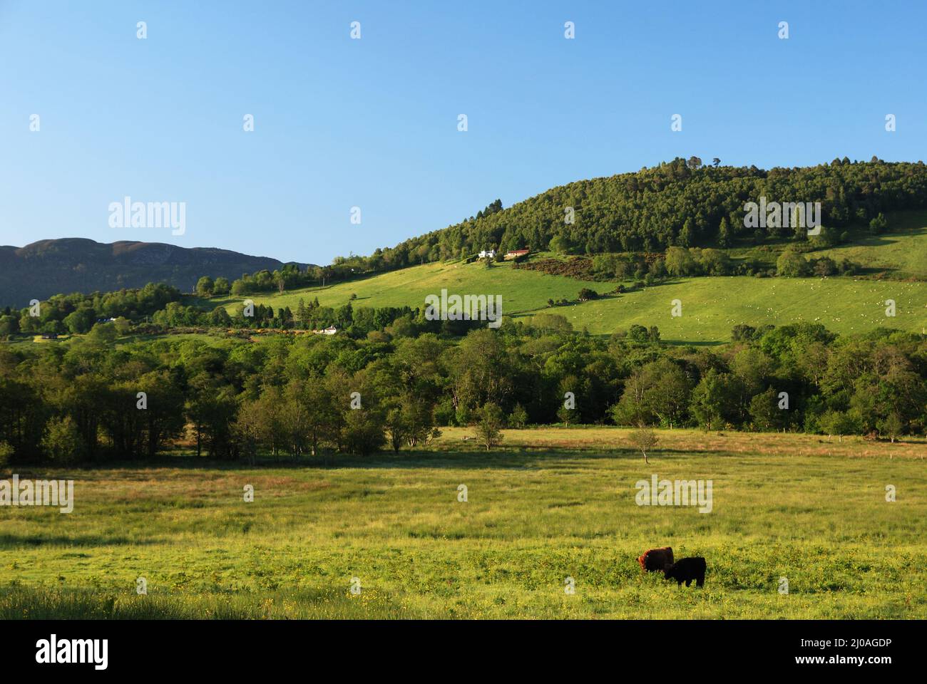 Drumnadrochit Landscape Stock Photo