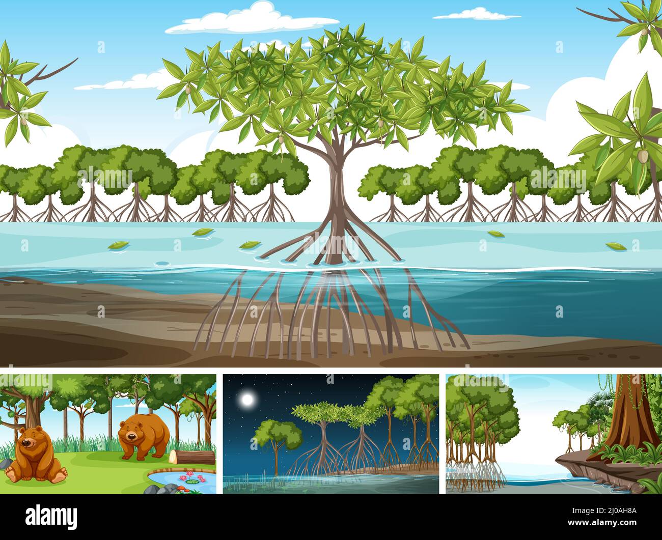 Scene with wild animals in the forest illustration Stock Vector Image ...