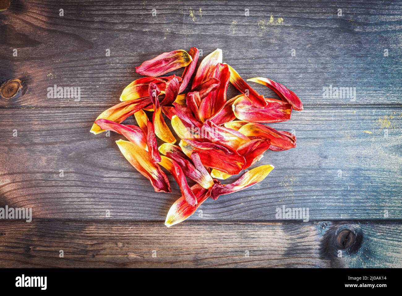 A bunch of tulip petals on a wooden surface, floral background. Stock Photo