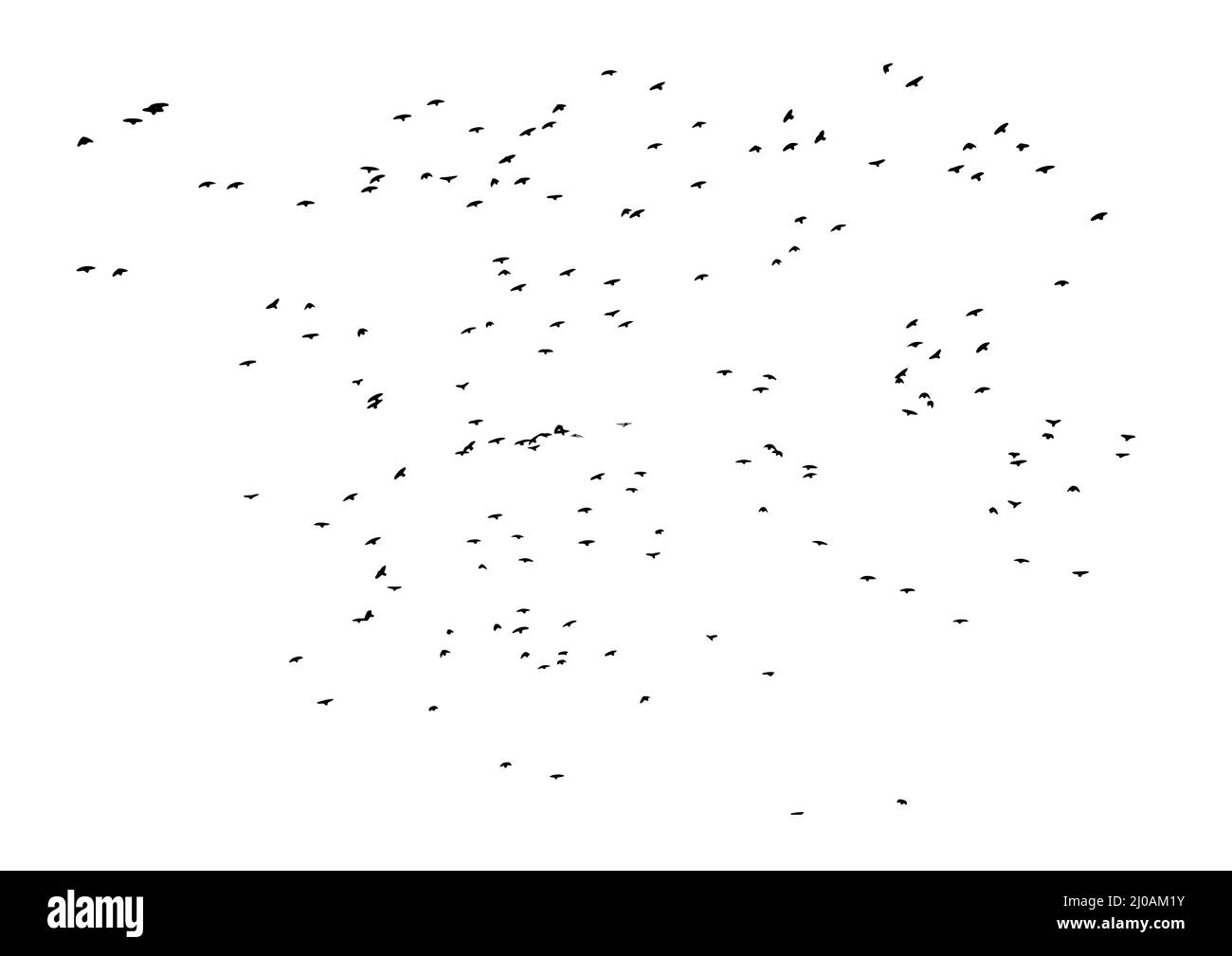 A flock of flying birds. Free birds. Vector illustration Stock Vector