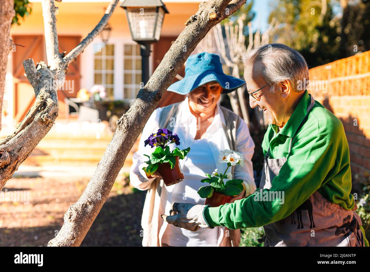 happy elderly couple, caring and working together in garden Stock Photo