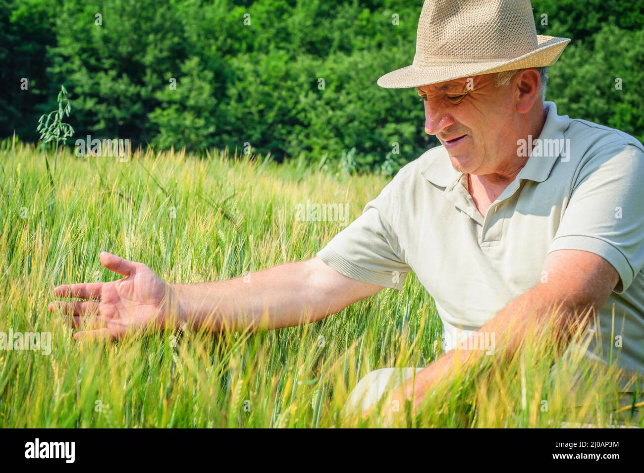 Farmer walks hi-res stock photography and images - Alamy