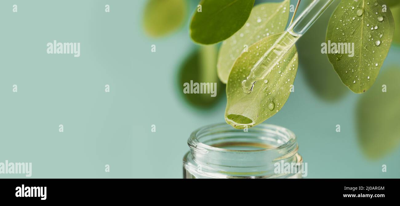 Macro shot of beautiful leaf and pipette, medicine drop falling into jar. Natural, organic, bio cosmetics from herbs and plants for skin and health Stock Photo