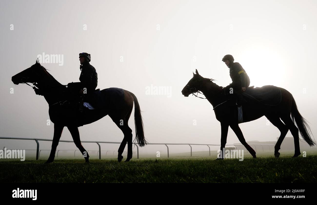 A Plus Tard and Minella Indo on the gallops during day four of the Cheltenham Festival at Cheltenham Racecourse. Picture date: Friday March 18, 2022. Stock Photo