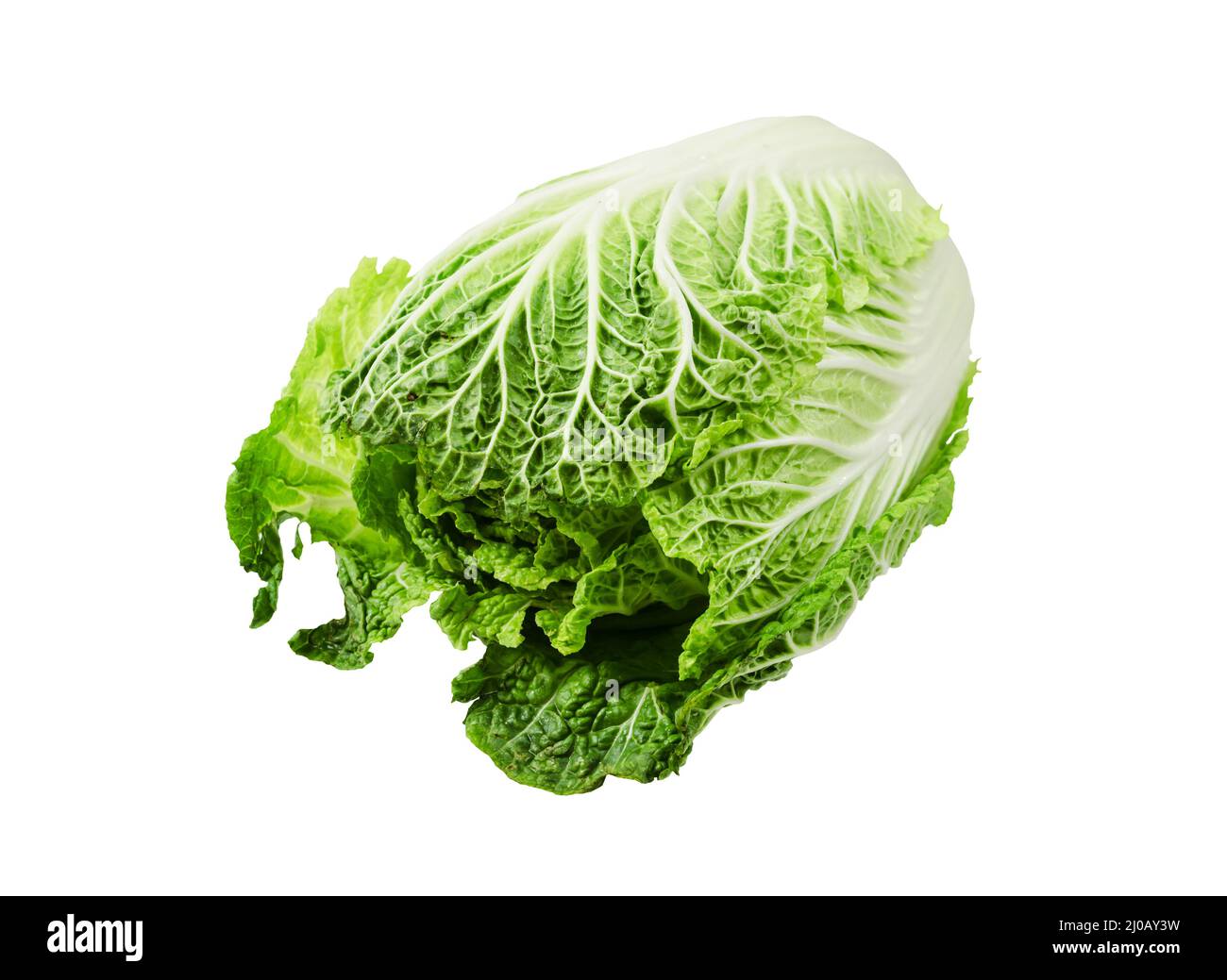 Napa cabbage or chinese cabbage isolated on white background, Save clipping path. Stock Photo