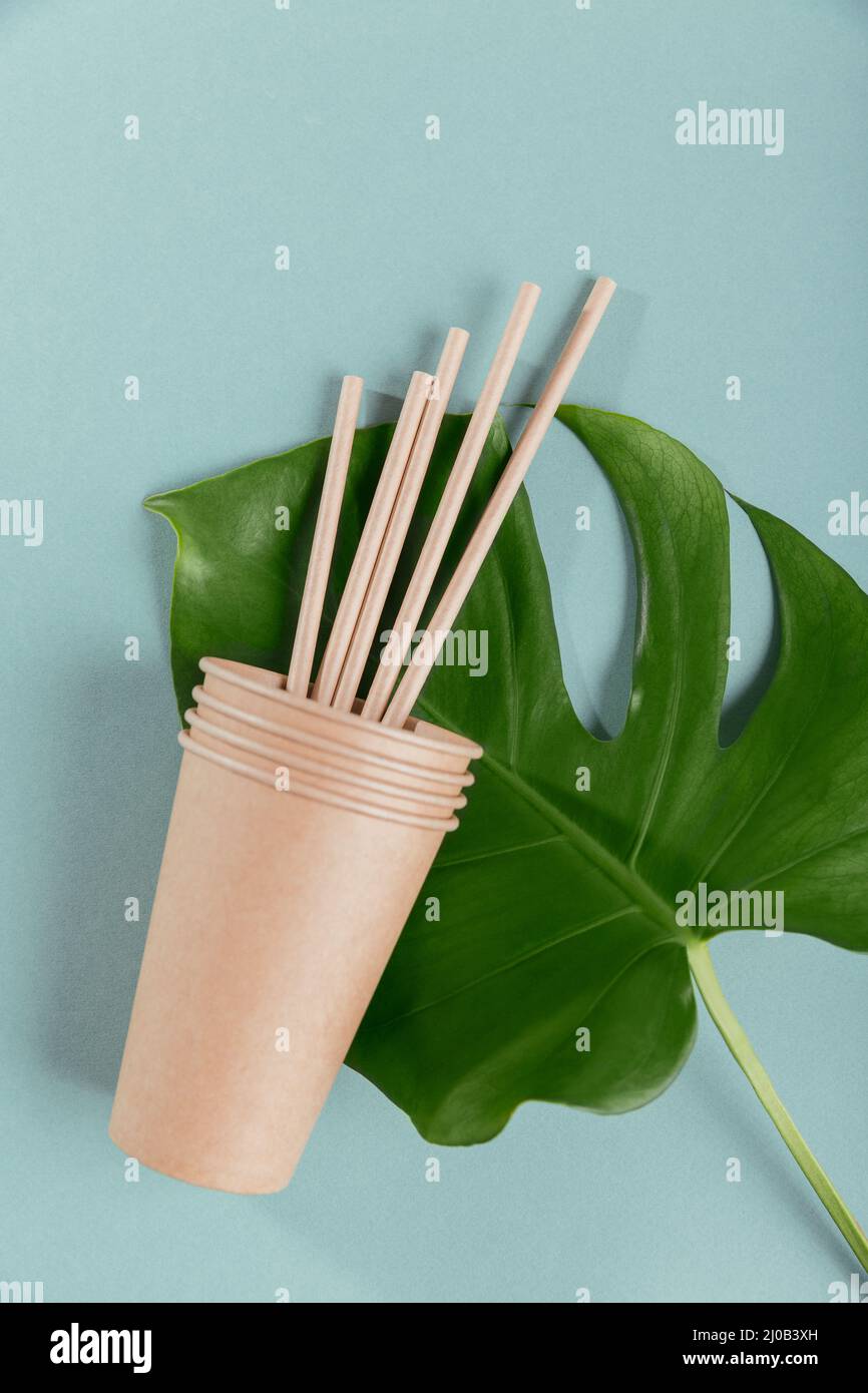 Disposable tableware from natural materials. Biodegradable and compostable paper cup, straws