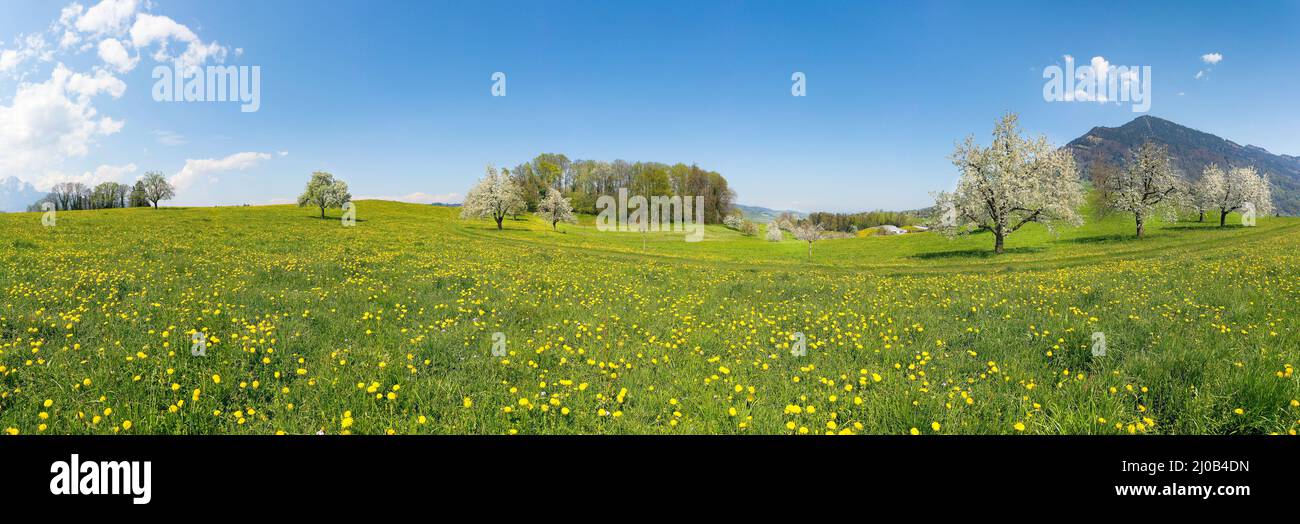 Spring. Panorama of spring nature in Switzerland. Mount Rigi in the ...
