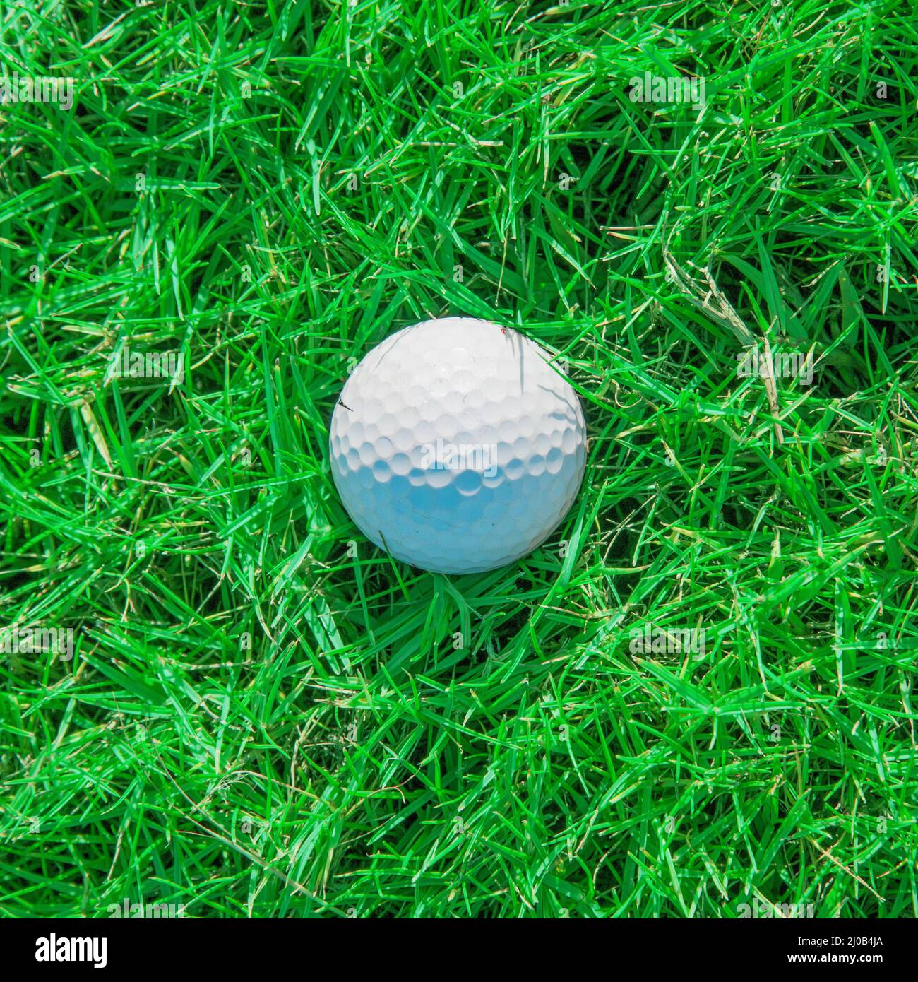 Golf club and ball in grass Stock Photo Alamy