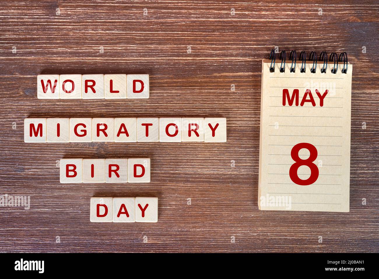 The celebration of the  World Migratory Bird Day the May 8 Stock Photo