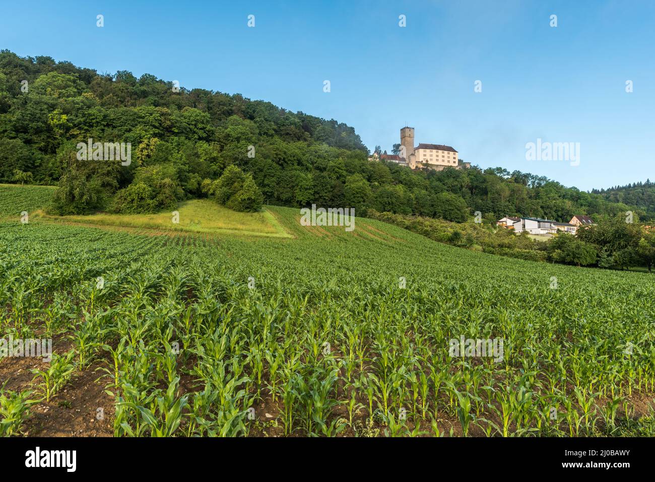 Guttenberg Castle, Hassmersheim, Neckar Valley, Baden Wuerttemberg, Germany Stock Photo