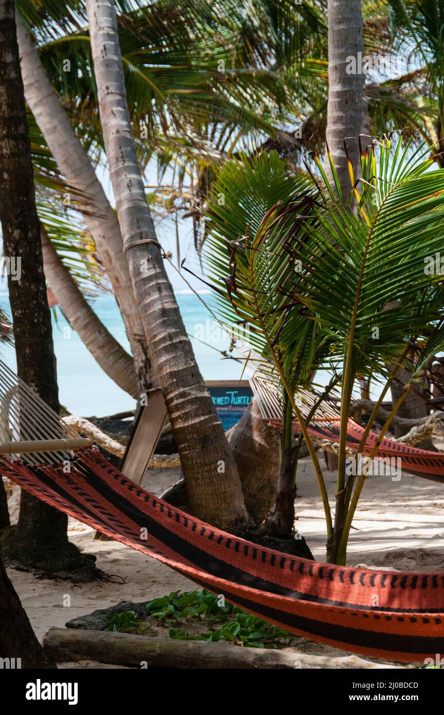 Closeup of Hammock chillout relax Tied to Coconut Trees at the beach on Corn Island Bar Stock Photo