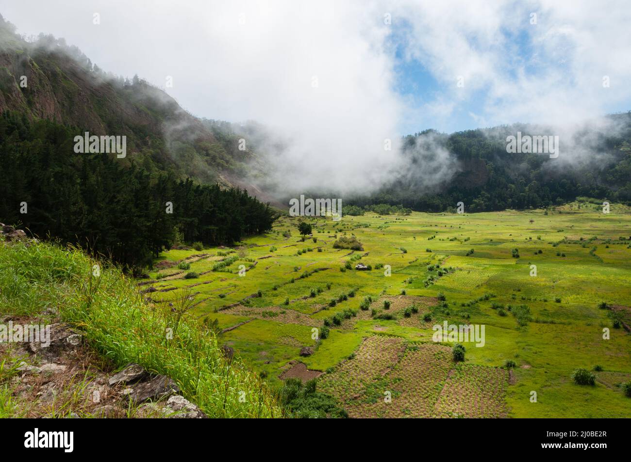 Green humid farm field with clouds in canyon of volcano Cape verde Stock Photo