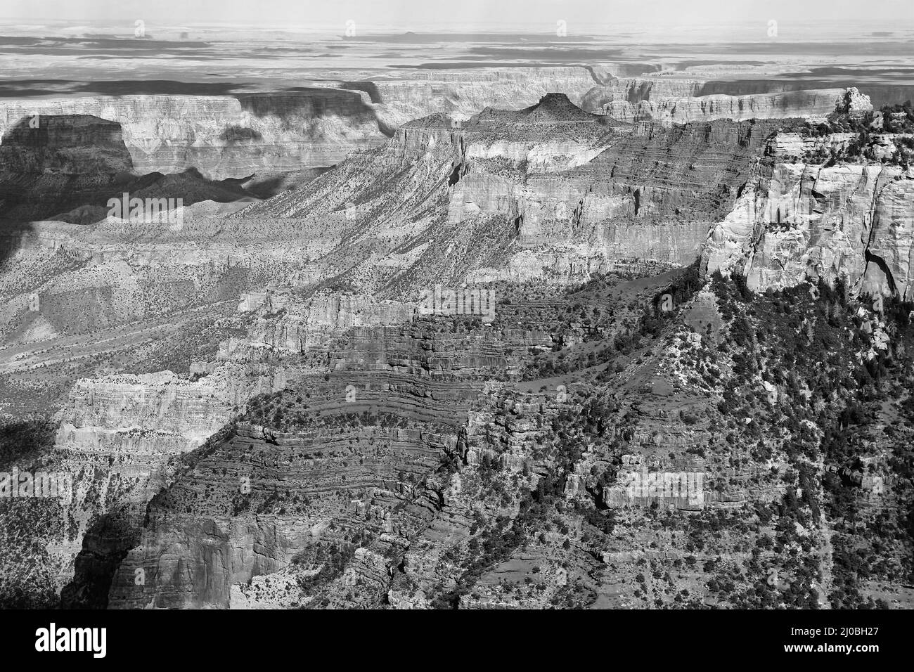 The grand canyon national park north rim arizona united states (black and white) Stock Photo