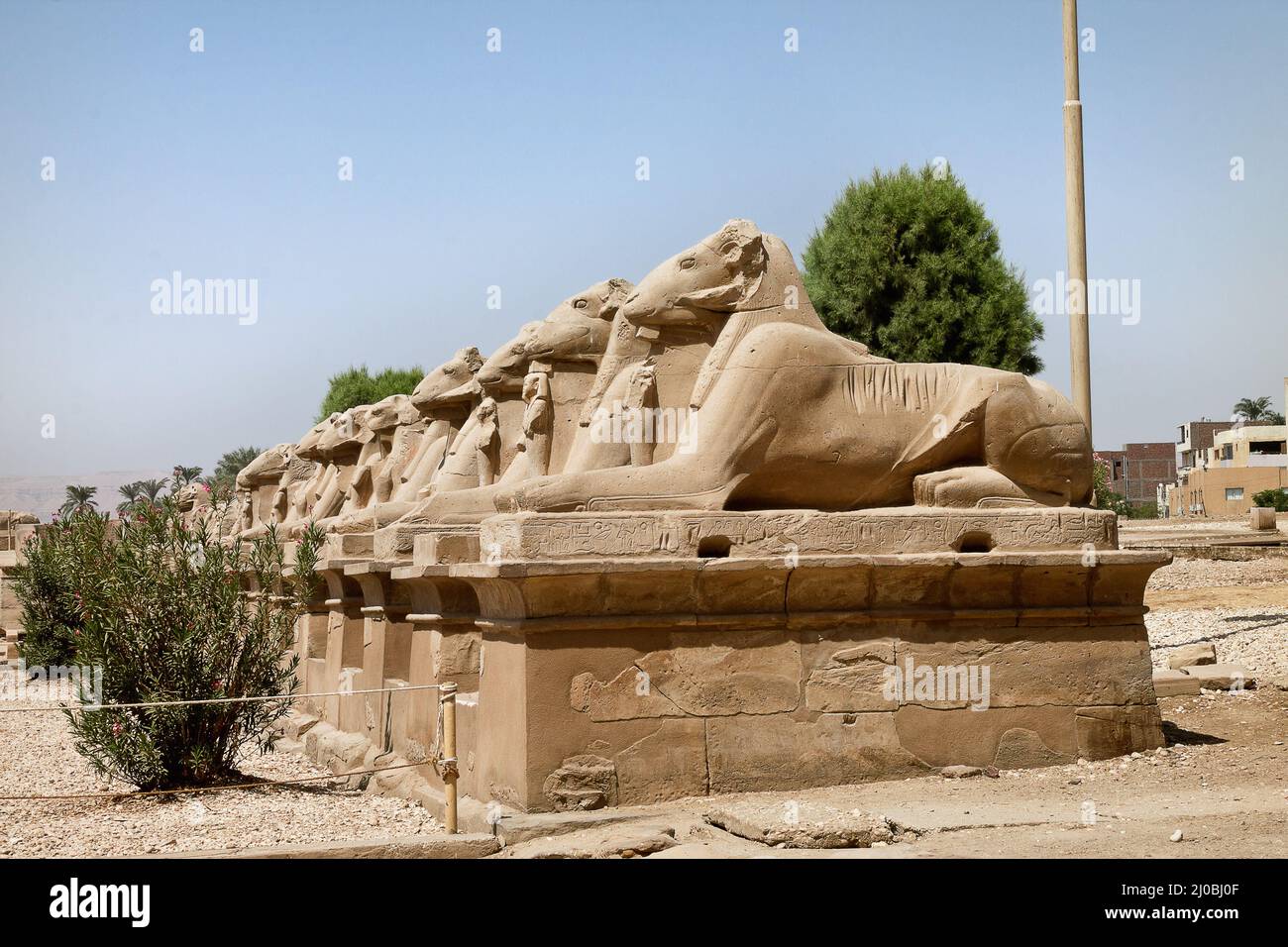 Alley of of sphinxes with ram's head in Karnak Temple Stock Photo