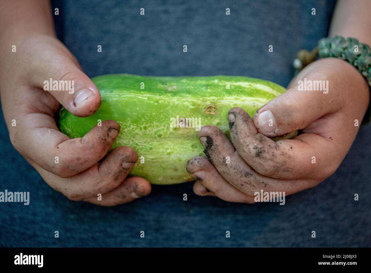Girl holding a cucumber in her dirty hands Stock Photo - Alamy