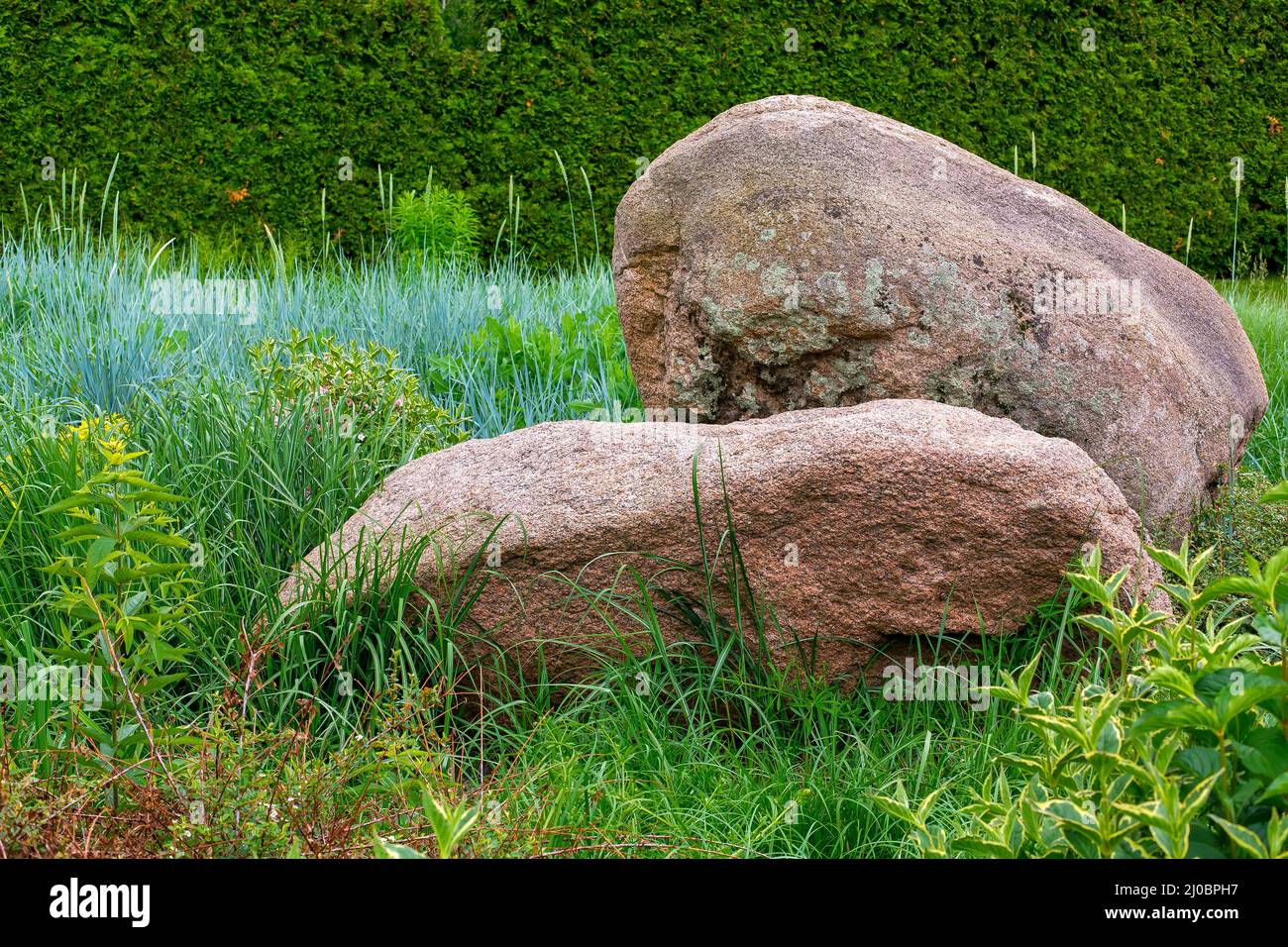 rockery with 2 huge natural stones among green plants, park landscaping ...