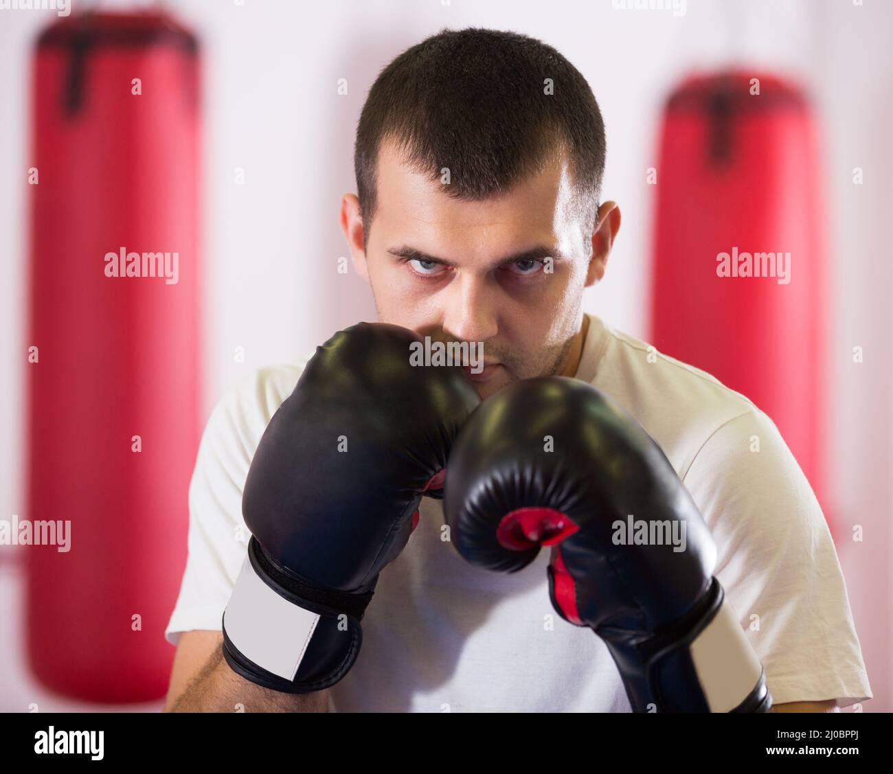 Boxing Rin Training Man boxing ring training hi-res stock photography and images - Alamy