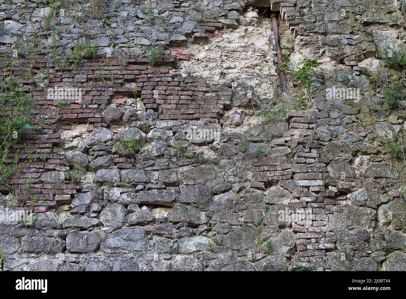 Overgrown stone wall hi-res stock photography and images - Alamy