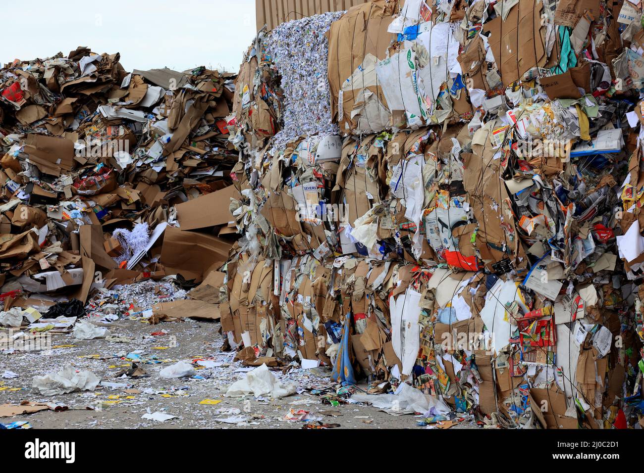 Altpapier für Recycling auf einer Deponie  /  Waste paper for recycling in a landfill Stock Photo