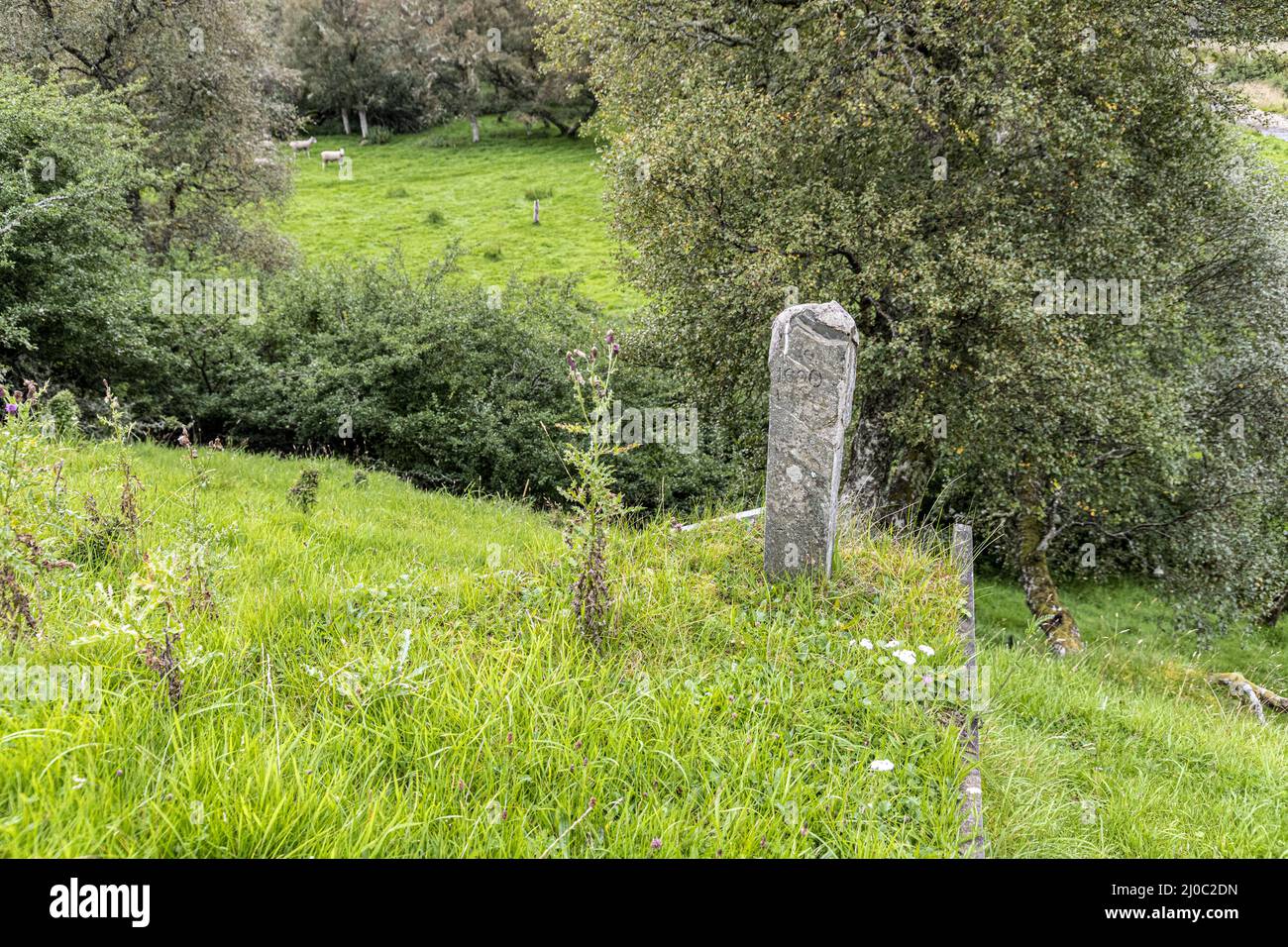 The Soldier Stone marking the grave of a Highland soldier (who died following the Battle of Cromdale in 1690) near Ruthven., Moray, Scotland UK. Stock Photo