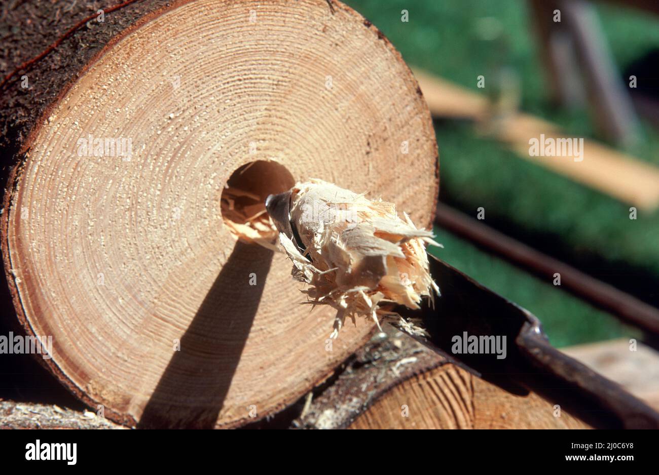 Der Röhrmeister oder Röhrenmeister, ein sehr alter, heute kaum noch ausgeübter Beruf, fertigt aus Holzstämmen Wasserrohre. Dazu benutzt er spezielle W Stock Photo