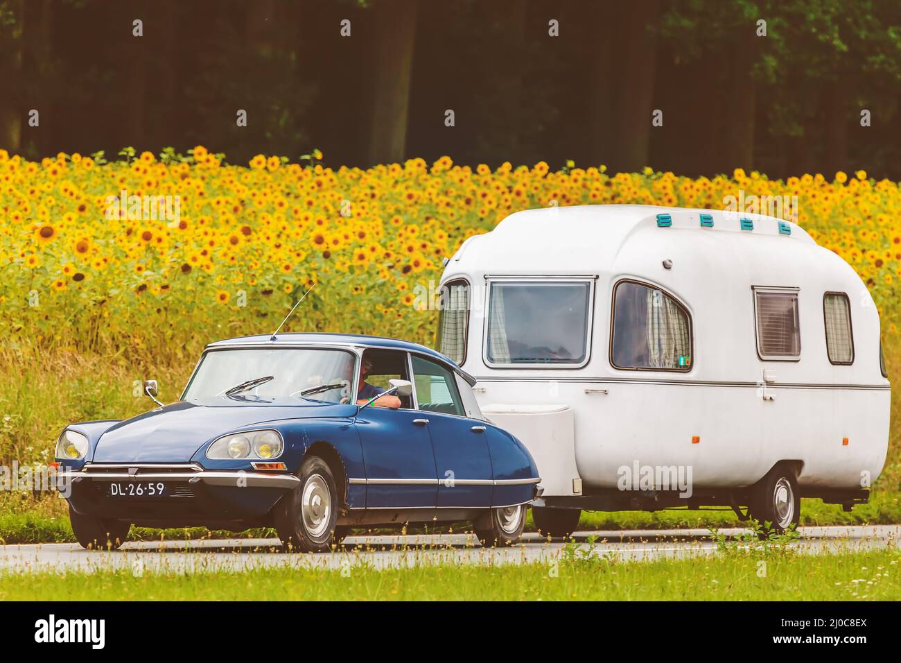 DIEREN, THE NETHERLANDS - AUGUST 14, 2016: Retro styled image of a Vintage Citroen DS with caravan on a local road in front of a field with sunflowers Stock Photo
