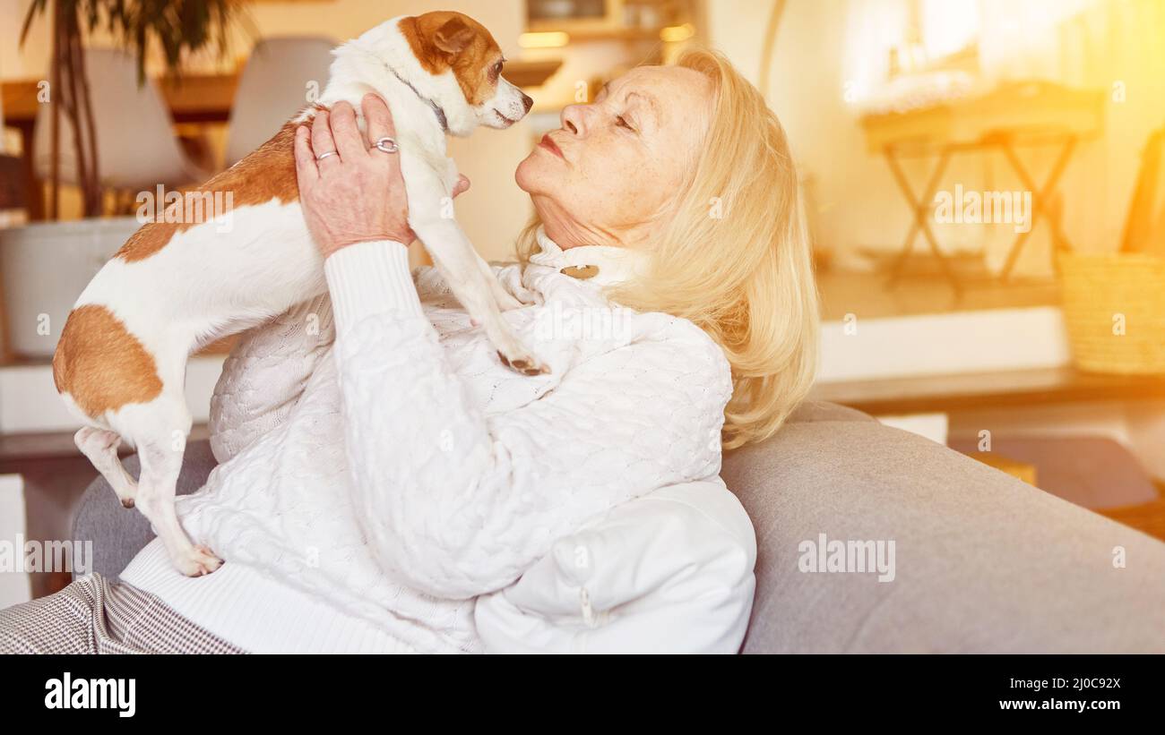 Animal loving senior woman kissing small dog as pet at home Stock Photo