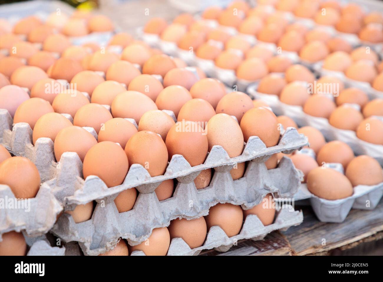 Egg Crates of brown and white eggs at a local farmers market Stock Photo