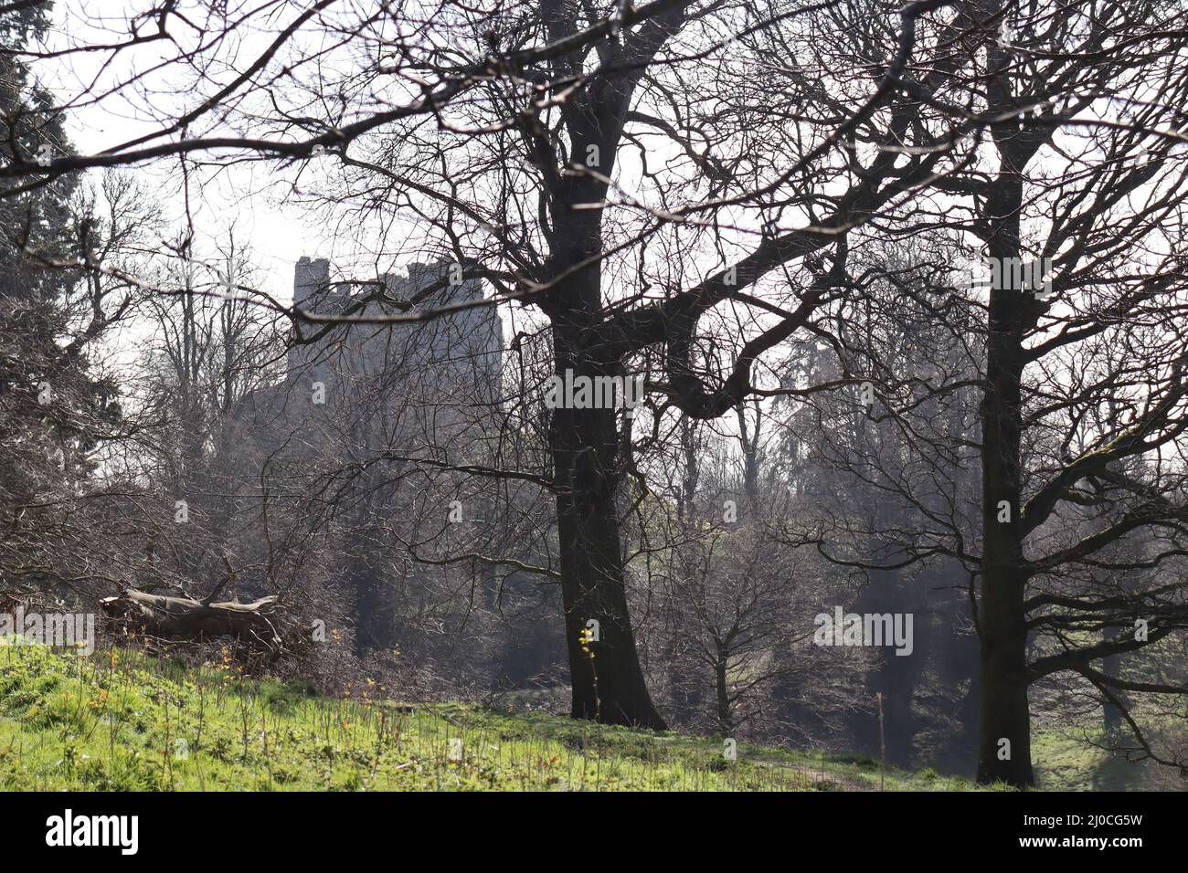 Castle ruin at Hawarden Park, Hawarden Estate, North Wales Stock Photo