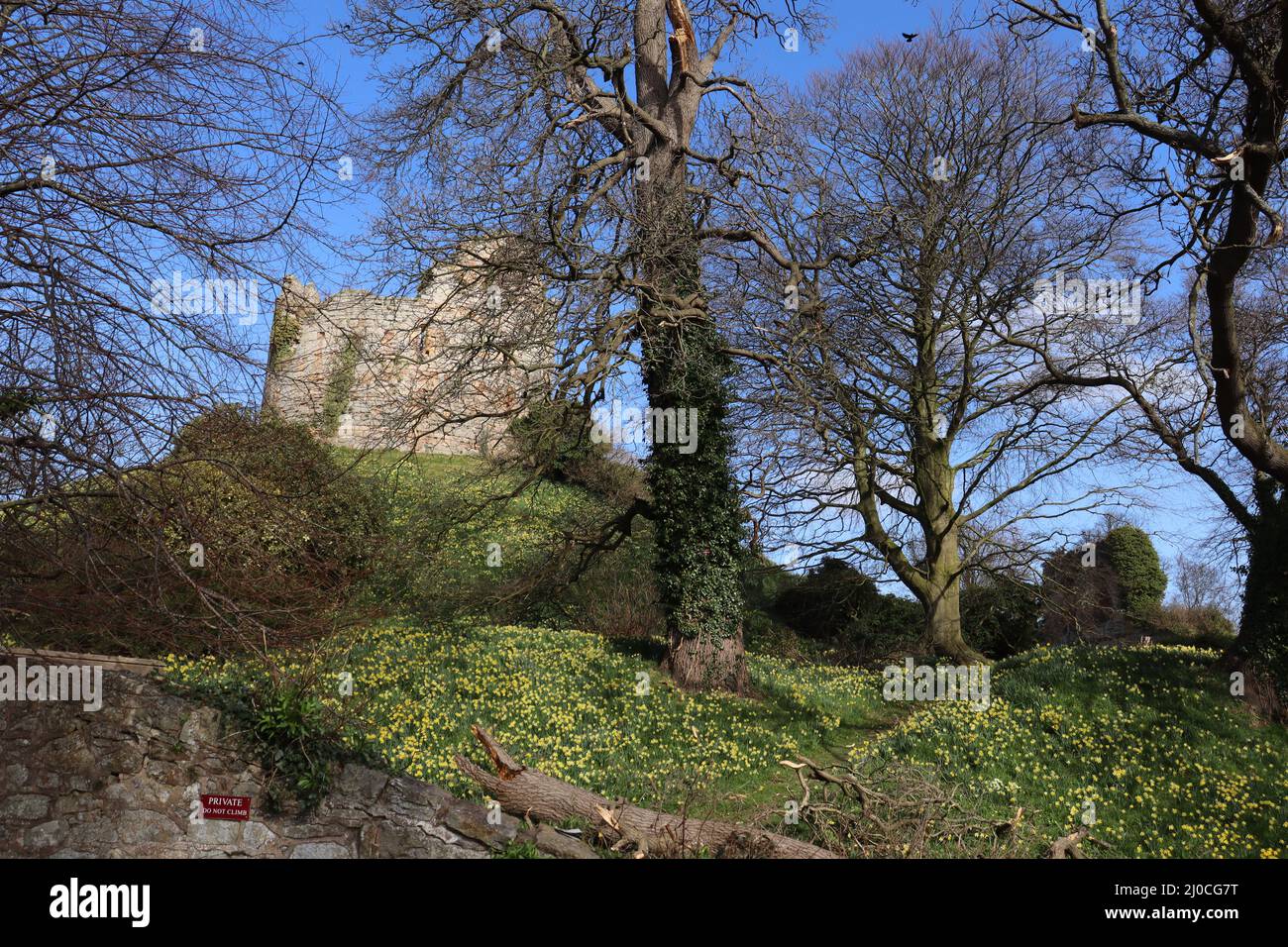 Castle ruin at Hawarden Park, Hawarden Estate, North Wales Stock Photo