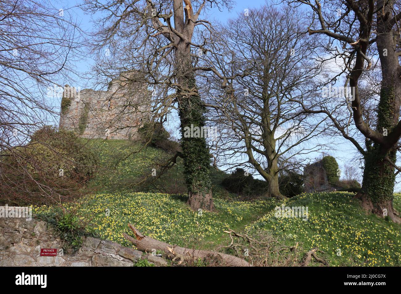 Castle ruin at Hawarden Park, Hawarden Estate, North Wales Stock Photo
