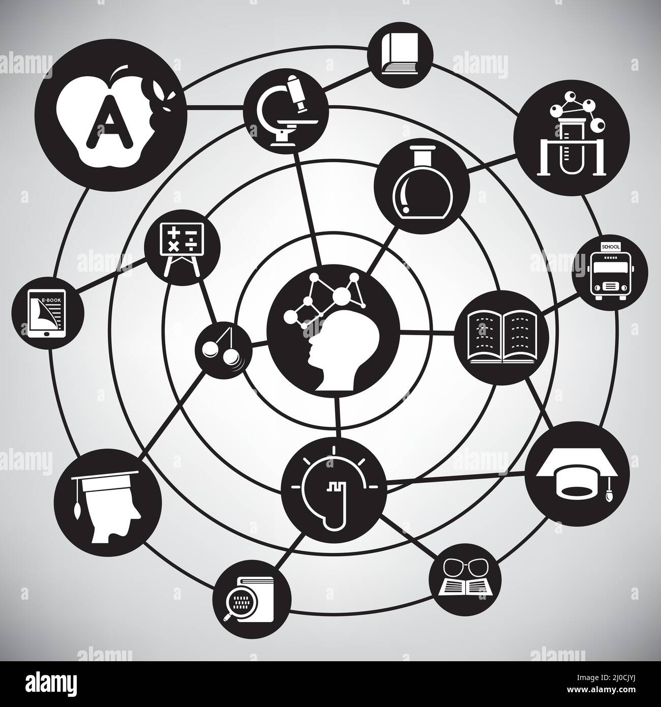 education and knowledge concept network diagram infographic Stock