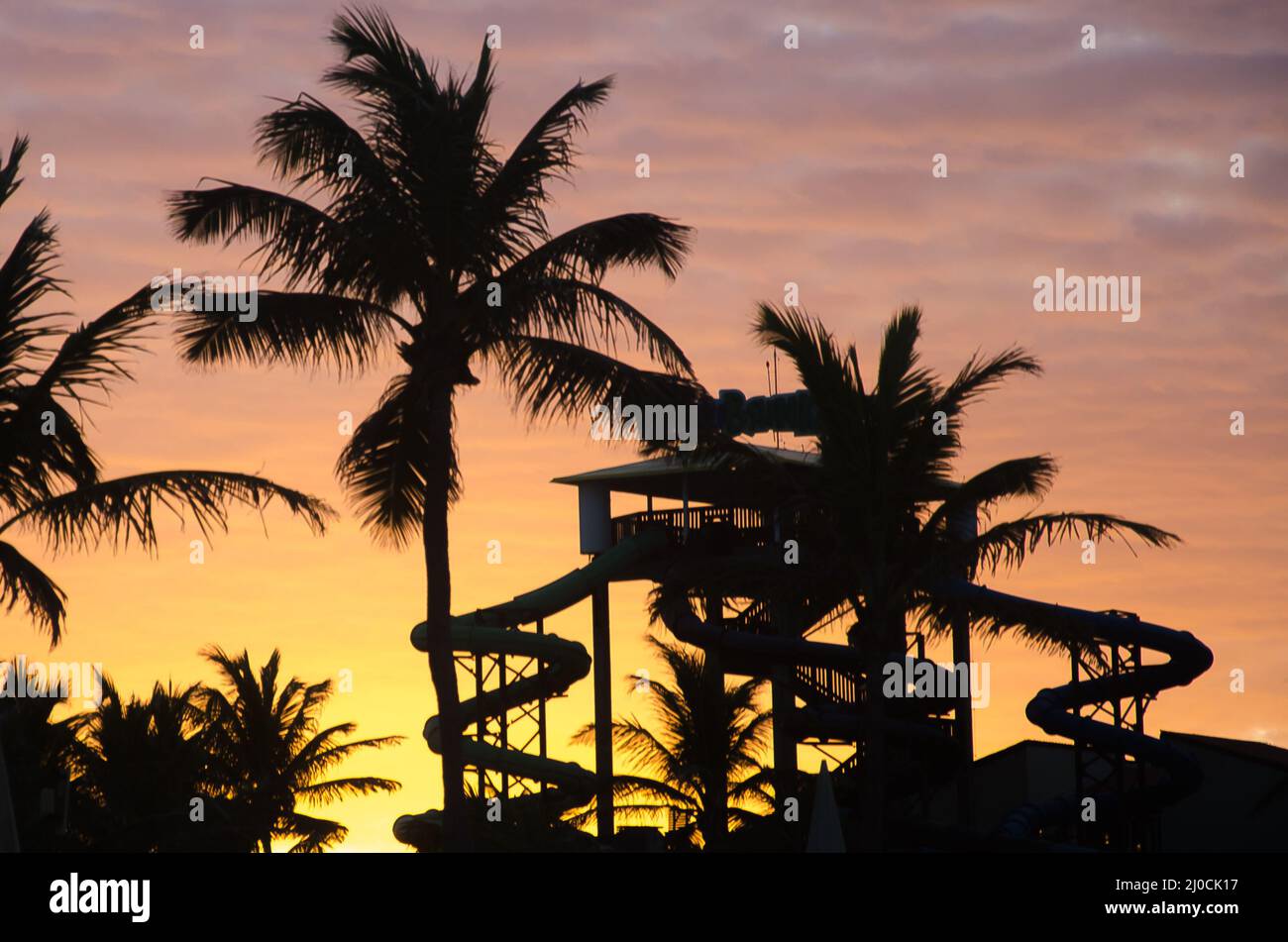 Sunset golden hour with palm trees and aquatic park Stock Photo