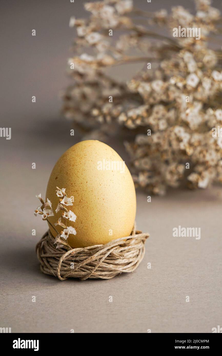 Easter egg wiyh flowers. Easter food composition and space for a text Stock Photo