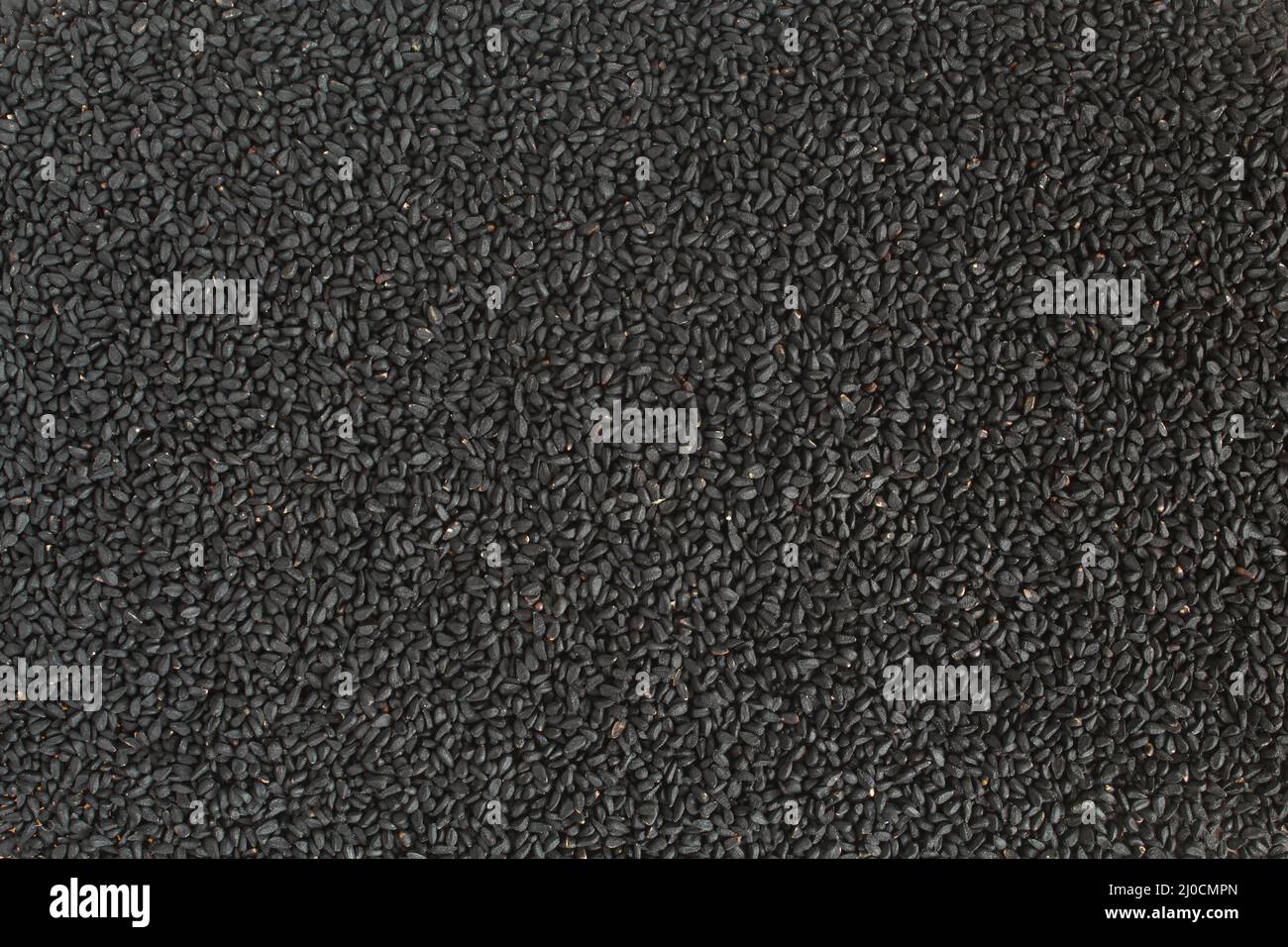 Background full of black cumin. Nigella sativa seasoning texture Stock Photo