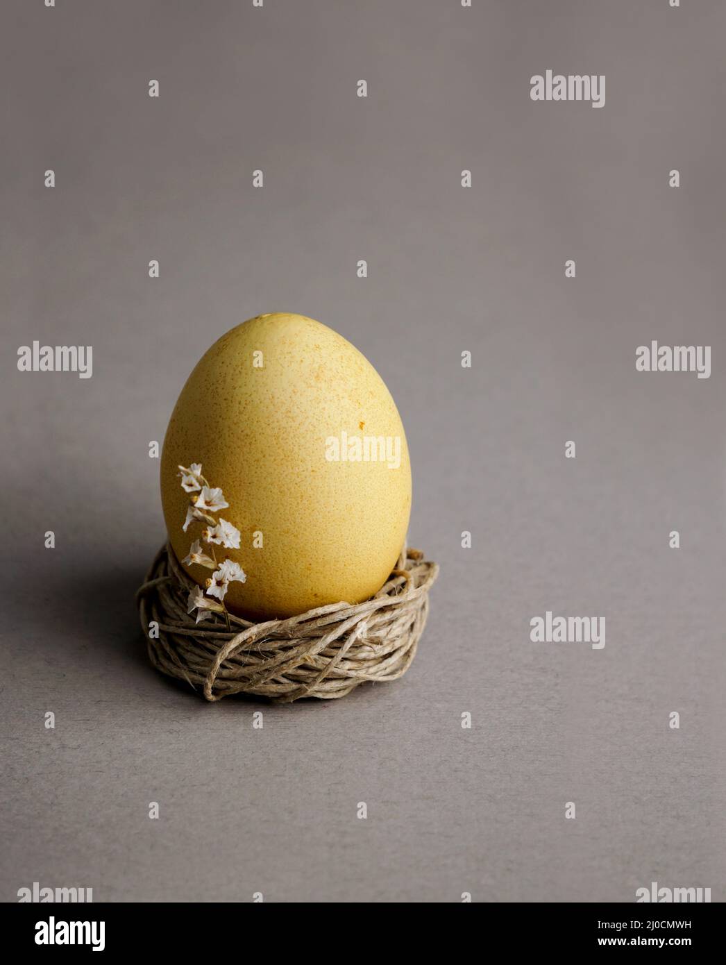 Easter egg wiyh flowers. Easter food composition and space for a text Stock Photo