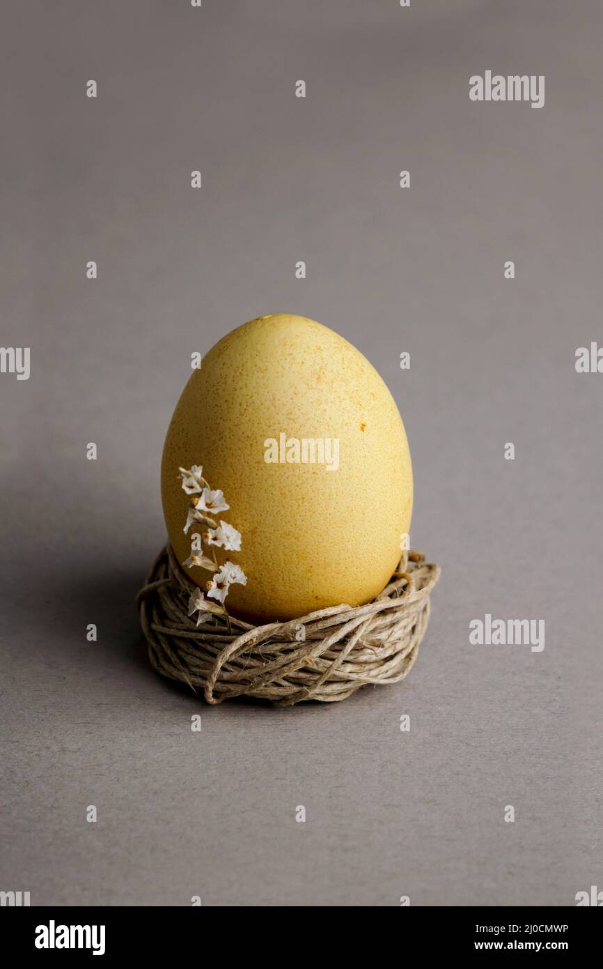 Easter egg wiyh flowers. Easter food composition and space for a text Stock Photo