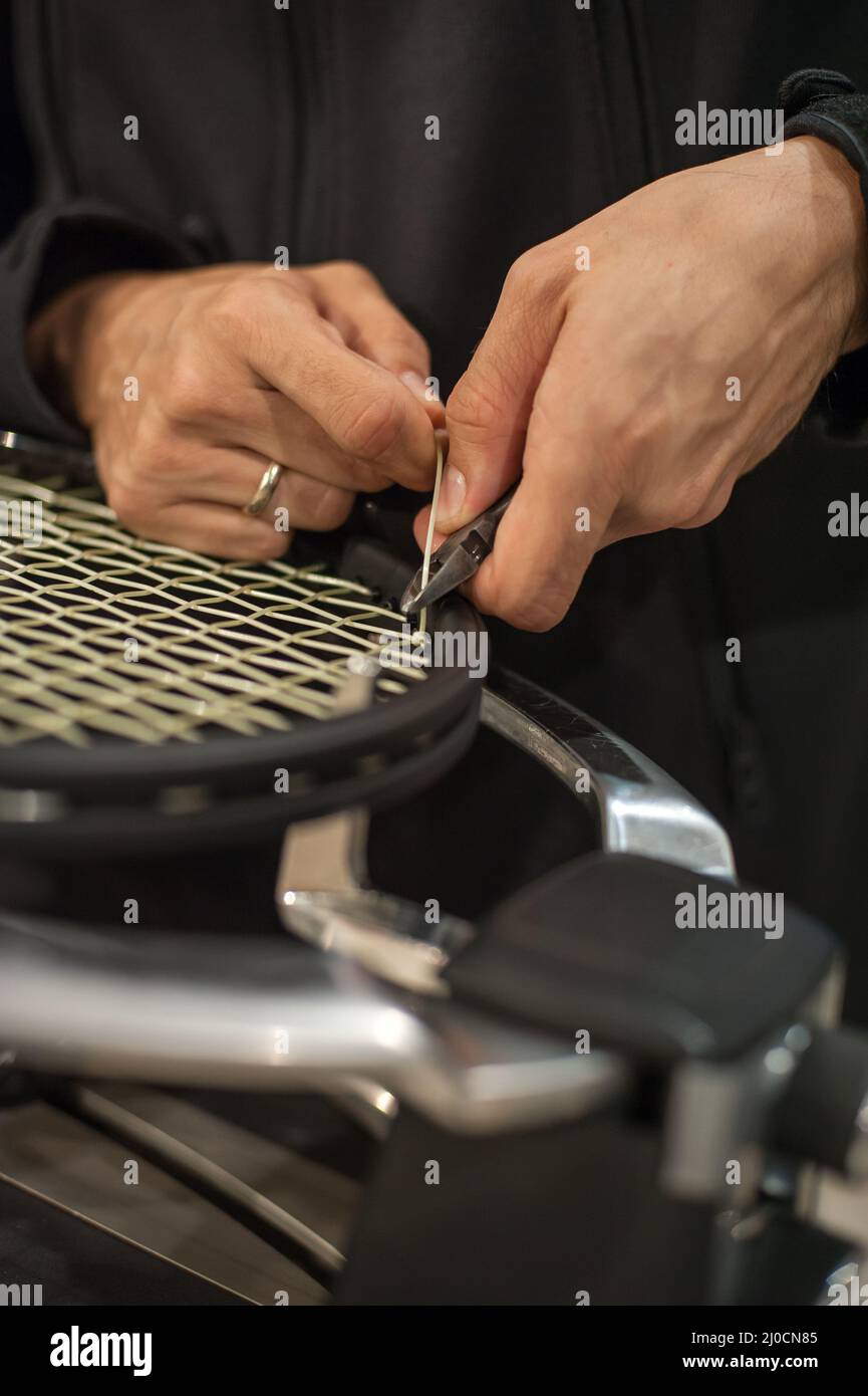 Stringing tennis racket. Tennis stringer tying knots and cutting string
