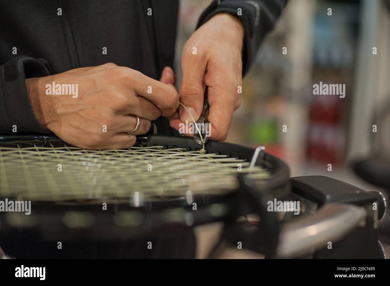 Stringing tennis racket. Tennis stringer tying knots and cutting string